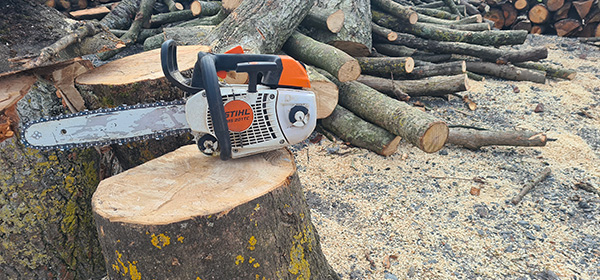 Élagage et abatd'arbres à Saint-Omer 