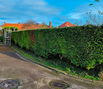 Entretien d'espaces verts à Saint-Omer