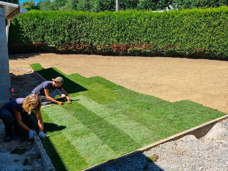 Plantation dans un espace vert à Saint-Omer 